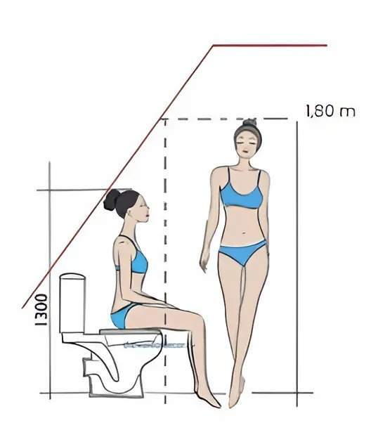 Emplacement de toilettes Sologne